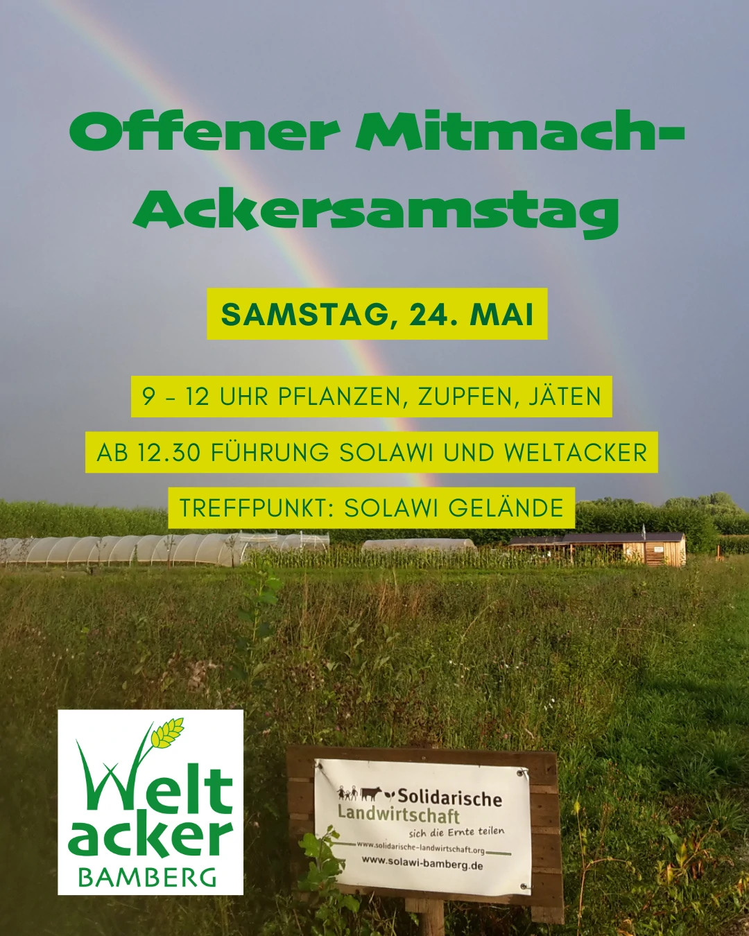 signal-2025-05-19-11-03-53-927