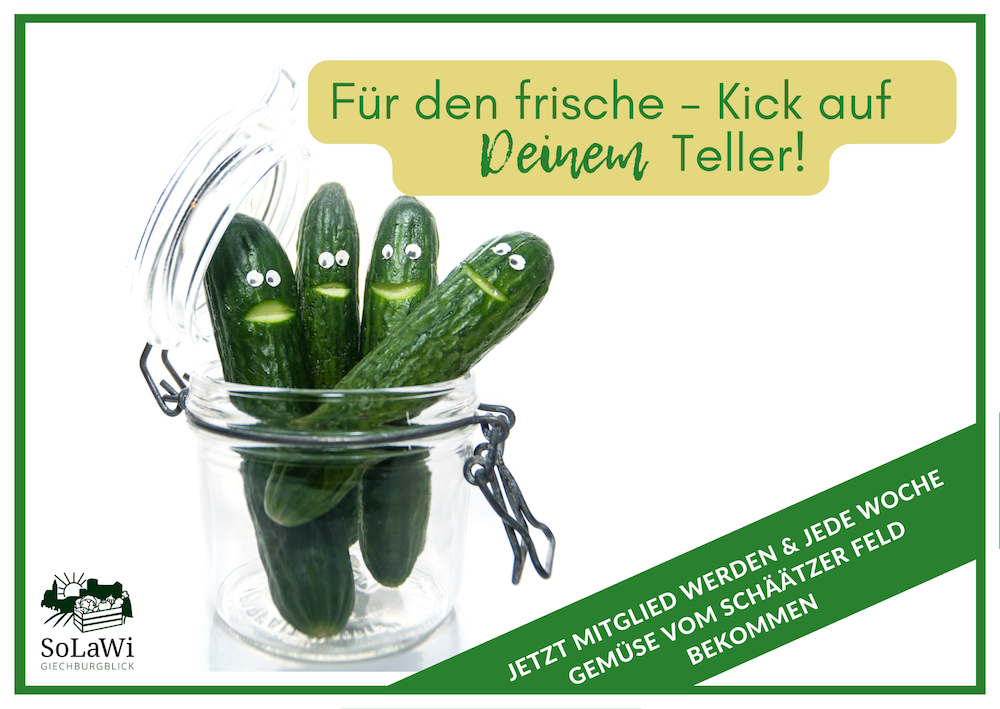 Postkarte50%Frische