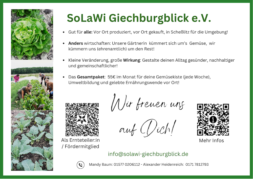 Rueckseite50%.